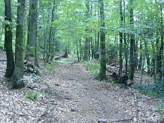 Le chemin étant un sentier de grande randonnée (GR 7 - GR 533), il est balisé avec les couleurs caractéristiques